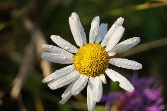古代的捕快是什么职务，与现今的警察有什么区别