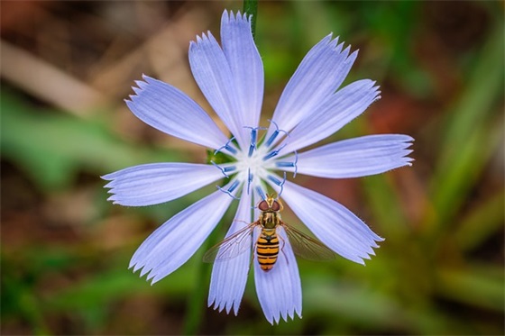 什么样的橄榄核素珠值得入手