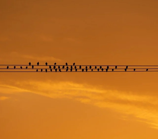 什么是失效分析？（FA）分析项目有哪些？