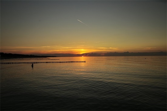 什么是网络公关，网络舆情如何应对