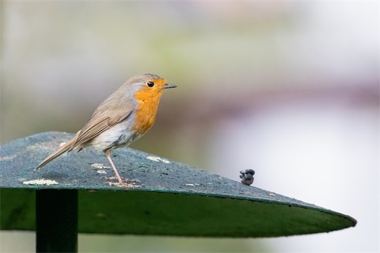 什么是双层玻璃窗 双层玻璃窗安装方法