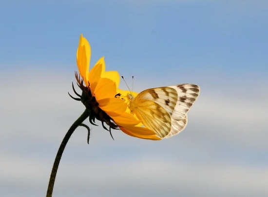 新学期家长寄语幼儿园小班 【幼儿园新学期家长对老师的寄语小班】