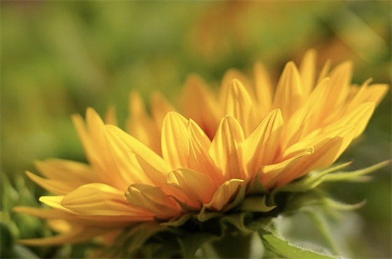 四年级父母寄语与期望 【四年级父母的期望寄语简单点】