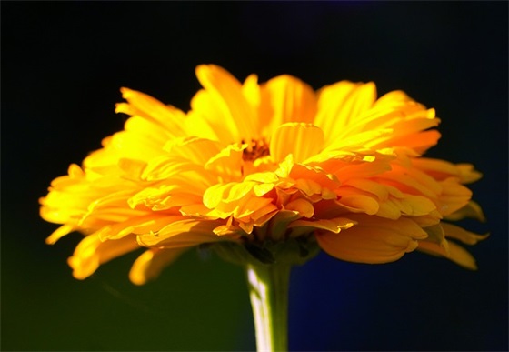 请问一年级家长寄语怎样写 【一年级家长寄语怎么写】