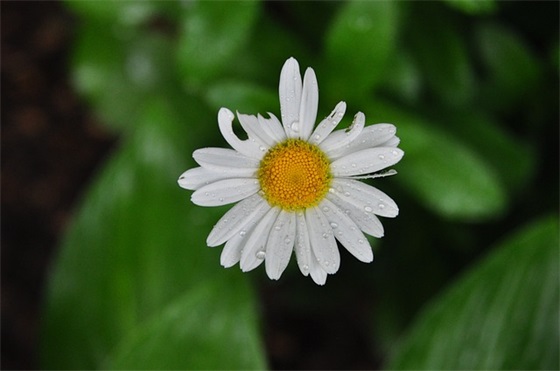 期末父母寄语精选一句话 【期末父母的话】