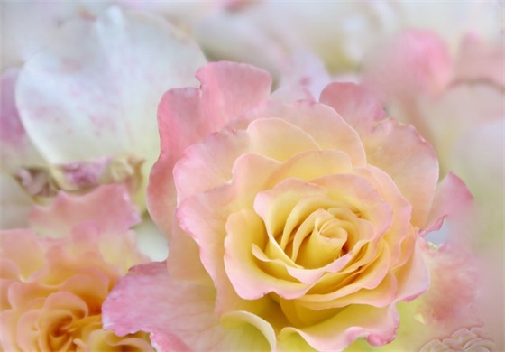 老同学寄语大全-87句