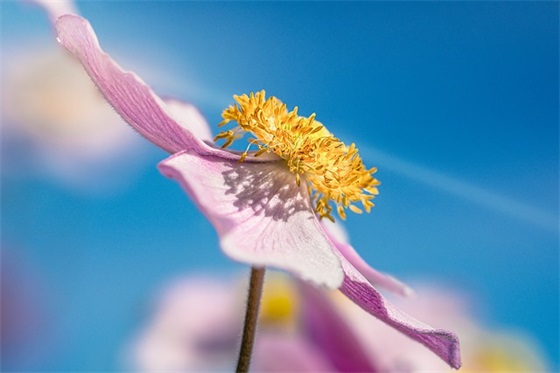 数学老师期末寄语 【数学老师期末寄语大全】