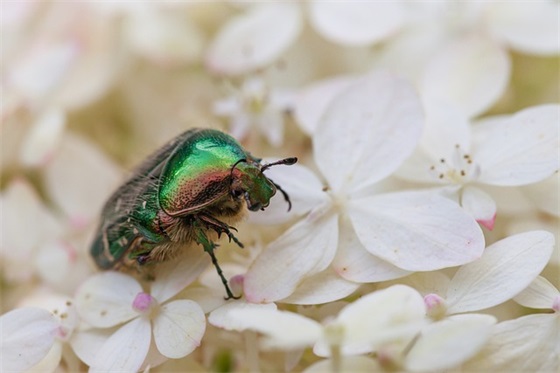 幼儿教师毕业寄语大全 【幼儿教师毕业寄语大全简短】