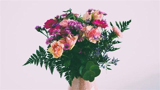 校长对一年级新生寄语 【校长为一年级新生致辞】