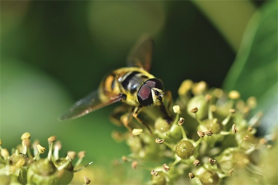 家长给高二孩子的鼓励寄语精选 【父母给高二孩子的鼓励寄语】