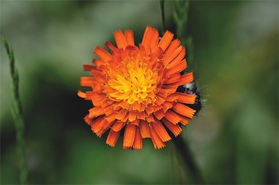 14岁成长礼寄语 【14岁成长礼简短寄语】