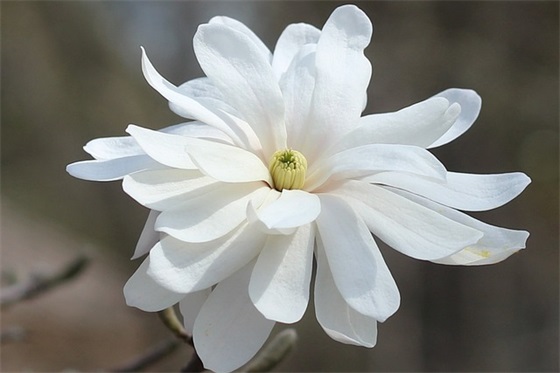 家长给小学毕业寄语给孩子 【家长给小学毕业的孩子寄语怎么写】