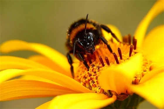 二年级期末寄语家长对我说 【二年级期末寄语家长对我说什么】