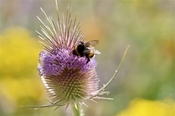 父母对孩子的期望寄语简单点一年级 【父母对孩子的简短寄语一年级新学期】