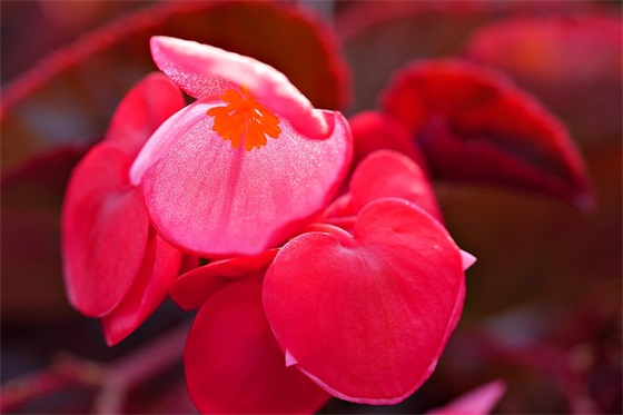 怎样给初三的孩子写家长寄语 【初三冲刺家长寄语鼓励】