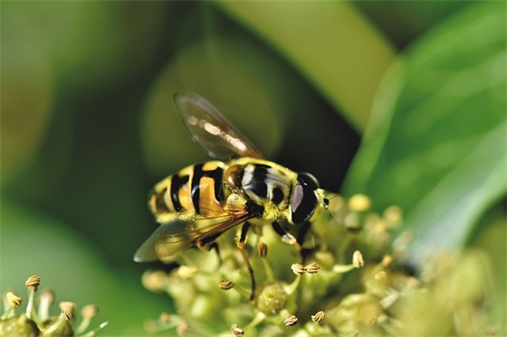 小升初即将升入初中,家长的寄语 【小学升初中的家长说说】
