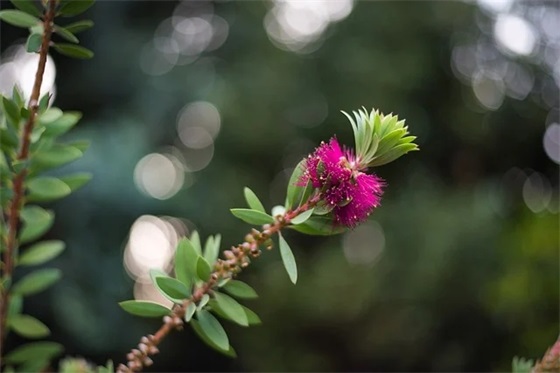 母亲节给孩子的寄语-100句 母亲节给孩子的寄语-100句