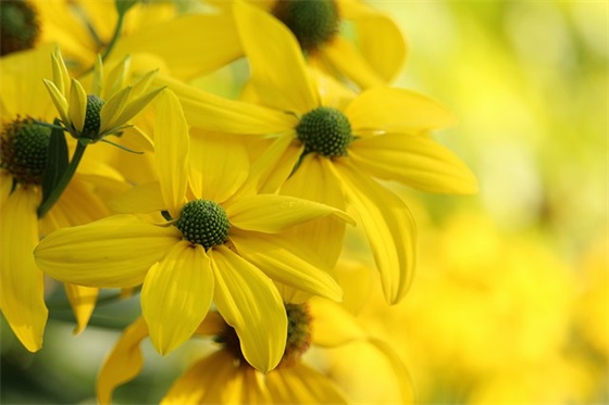 幼儿园中班寄语大全 【幼儿园毕业寄语大全】