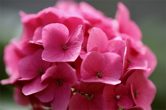 父母寄语精选100字-45句