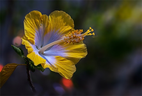 给期望孩子新年寄语-51句