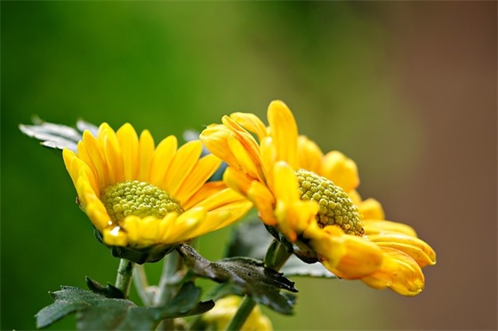 对孩子毕业寄语简短-51句