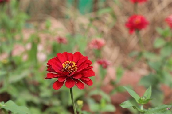 护士寄语简短8字-50句