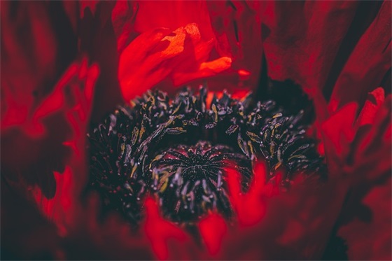 抖音高考寄语-60句