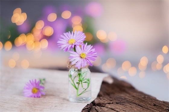 2025年家长对孩子的期望寄语-53句