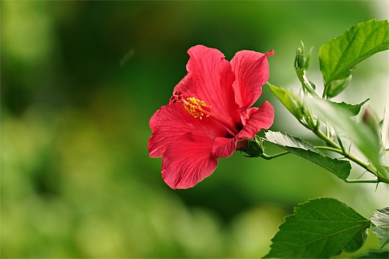 给高三孩子的鼓励寄语简短-53句