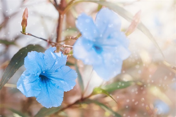 幼儿园大班幼儿寄语-45句