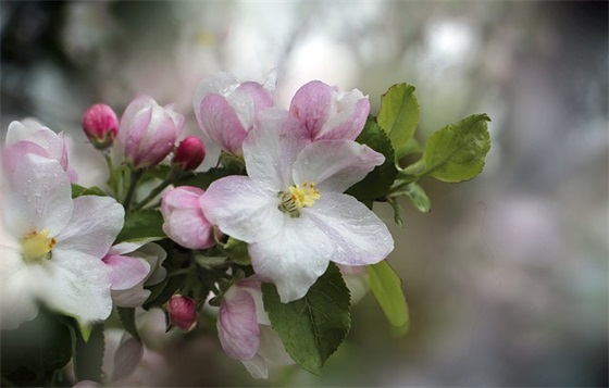 中考给孩子的寄语怎么写-59句
