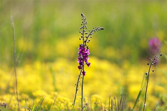 对即将高三学生的寄语-53句