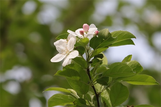 毕业寄语简短8个字给闺蜜-52句