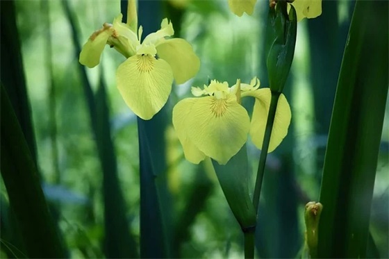 父母寄语对孩子鼓励的经典的话-57句