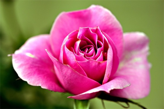 幼儿寄语简短的家长-42句