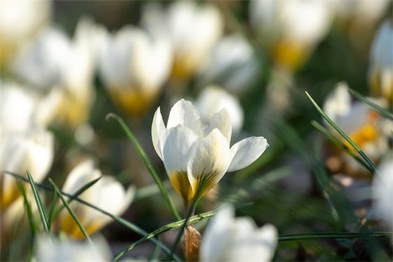 祝福孩子的健康寄语大全-59句