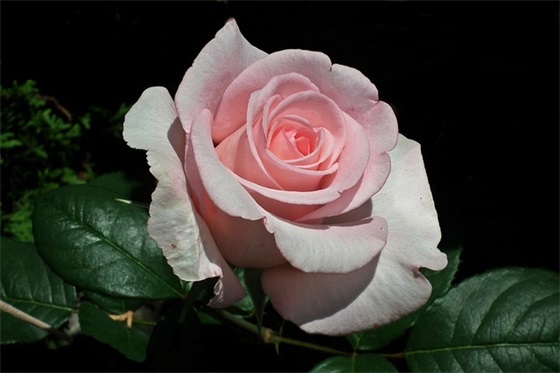 毕业励志寄语简短精辟句子-68句