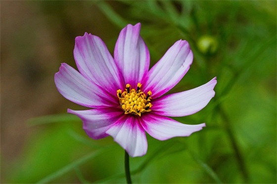 幼儿园毕业爸爸对孩子的寄语和祝福-56句