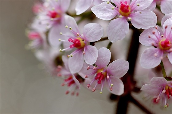 毕业照上的寄语-52句