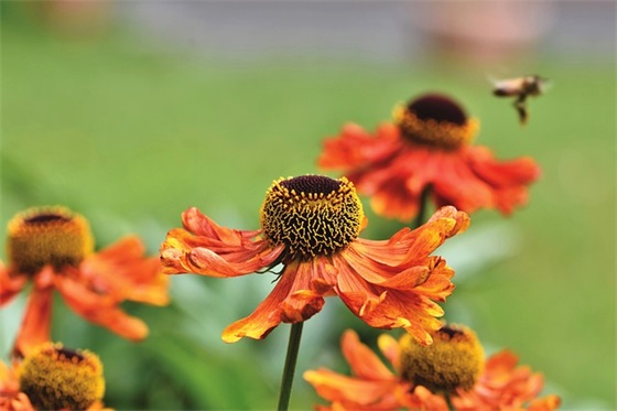 青年青春寄语-54句