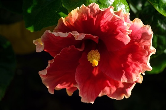 祝福孩子在高中里勤奋的寄语-53句