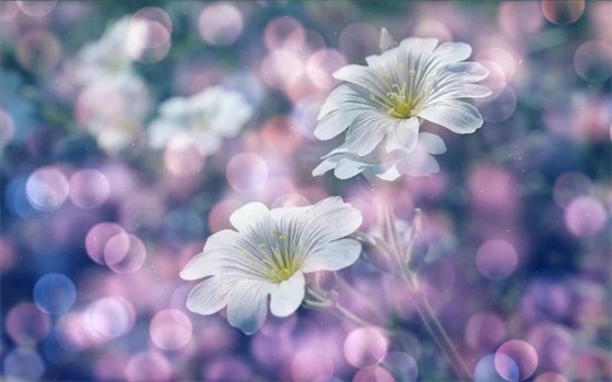 儿子9岁生日经典寄语-52句