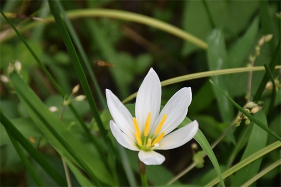 从此绝交的句子