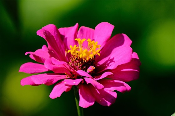 描写江南景色的句子60句