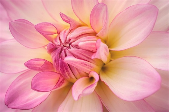 形容失落的句子82句