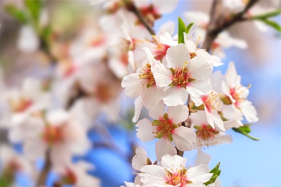 发抖音会火的句子83句