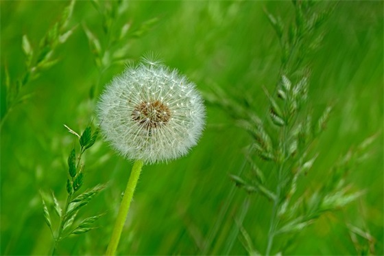 夸男人的句子59句