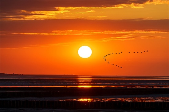 有诗意的句子大全81句