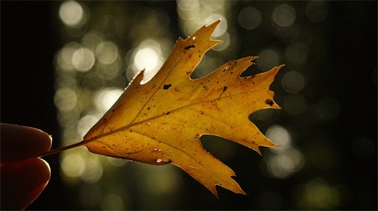 描写青春期叛逆的句子85句