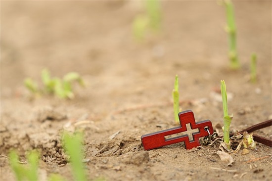 带感情的句子85句